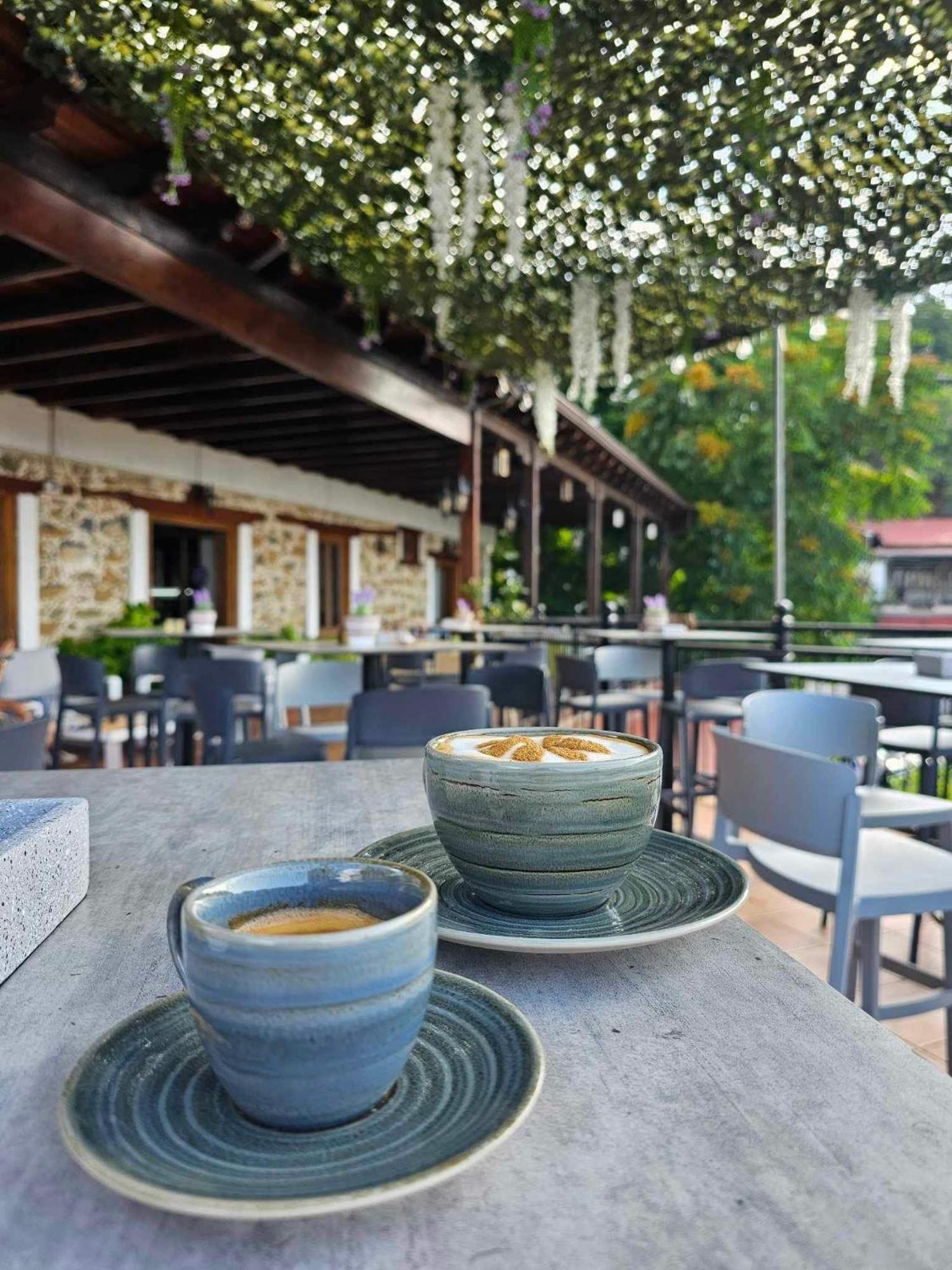 Two Flowers Hotel Pedhoulas